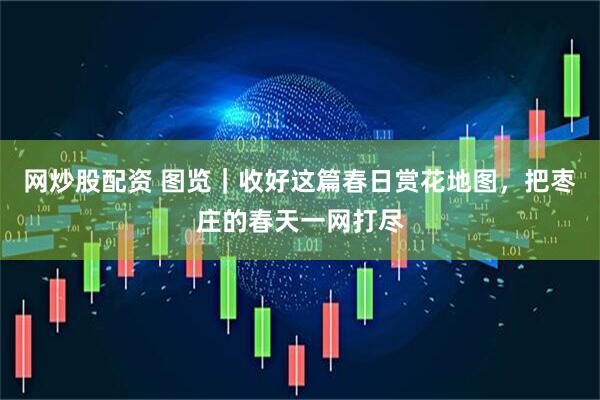 网炒股配资 图览｜收好这篇春日赏花地图，把枣庄的春天一网打尽