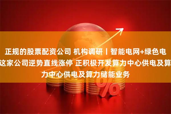 正规的股票配资公司 机构调研丨智能电网+绿色电力+钙钛矿 这家公司逆势直线涨停 正积极开发算力中心供电及算力储能业务